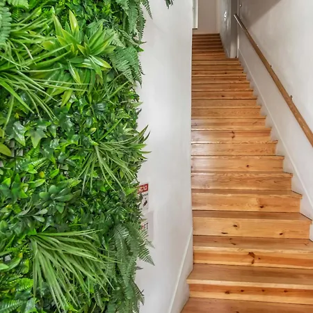 Apartamento Lv Premier Baixa- Fi *